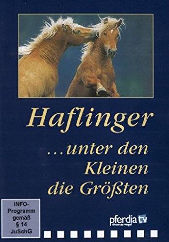 Haflinger - Unter den Kleinen die Größten von wehorse