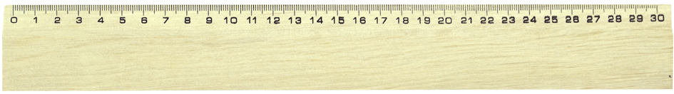 Wonday Holzlineal, 300 mm, Buche, ohne Griff von wonday