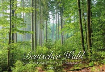 Deutscher Wald - Kalender 2021 - Alpha Edition-Verlag - Fotokalender mit wundervollen Naturlandschaften - 50 cm x 33,8 cm von xyz