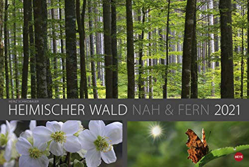 Heimischer Wald nah & fern - Kalender 2021 - Heye-Verlag - Heinz Schmidbauer - Wandkalender 58 cm x 39 cm von xyz