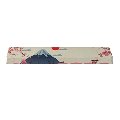 yanwuwa Tastenkappe Fünf Seiten Subbed 6 25U Kirsche Keycap Für Tastatur Gk61 Gk64 Für Tastenkappen 60% von yanwuwa