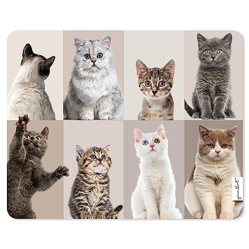 Mauspad Katzen-Bande I 24 x 19 cm I süße Katzen I Mousepad in Standard-Größe rutschfest I für Jungen Mädchen und Frauen I Cat-Gang Katzengesichter I dv_1246 von younikat