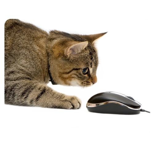 Mauspad mit Katzen-Motiv I 24 x 19 cm I Mousepad in Standard-Größe, rutschfest I für Mädchen Teenager Frauen I Katze Maus I dv_397 von younikat