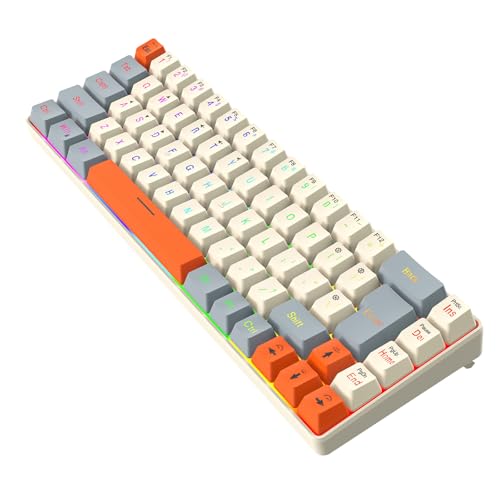 zuousxbs Ergonomische Tastatur Mit ARGB Hintergrundbeleuchtung 68Keys Tastatur Mit Abnehmbarer Tastenlinie Für Mehrere Systeme Kompatibel von zuousxbs